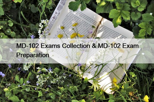 MD-102 Exams Collection & MD-102 Exam Preparation